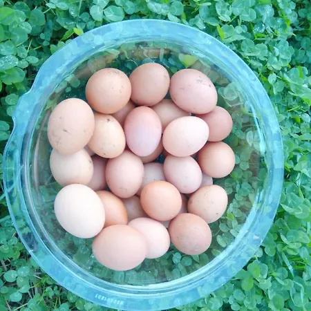 Appartement Casa L&m - Refugio Com Horta Biologica Certificada *