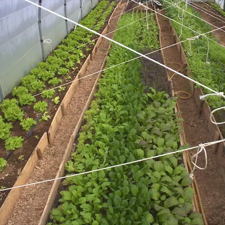 Casa L&m - Refugio Com Horta Biologica Certificada Appartement Lajes das Flores