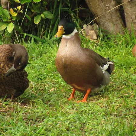 Casa L&m - Refugio Com Horta Biologica Certificada Lajes das Flores