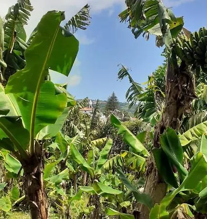 Appartement Casa L&m - Refugio Com Horta Biologica Certificada Lajes das Flores