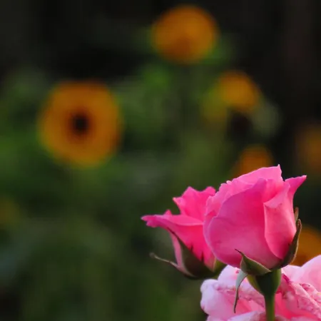 Appartement Casa L&m - Refugio Com Horta Biologica Certificada