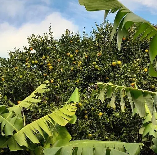 Διαμέρισμα Casa L&m - Refugio Com Horta Biologica Certificada *