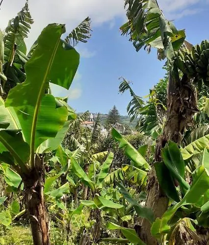 Διαμέρισμα Casa L&m - Refugio Com Horta Biologica Certificada Lajes das Flores