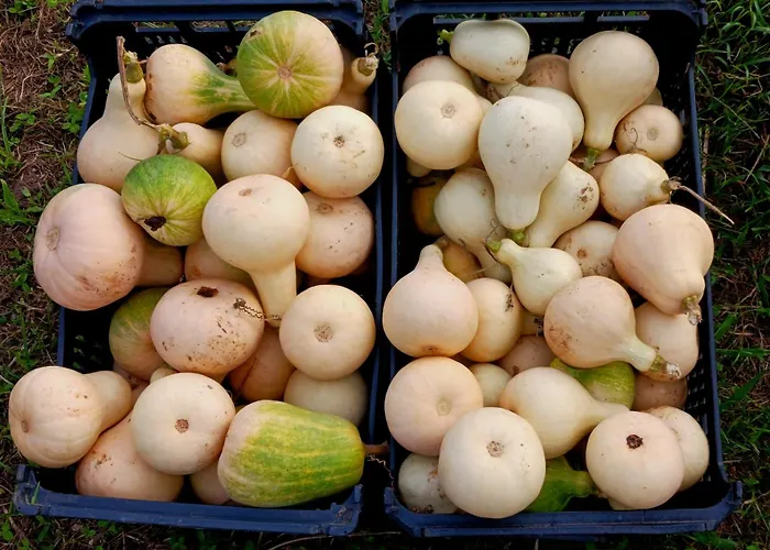 Casa L&m - Refugio Com Horta Biologica Certificada Διαμέρισμα *