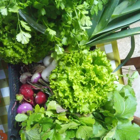 Appartement Casa L&m - Refugio Com Horta Biologica Certificada Lajes das Flores