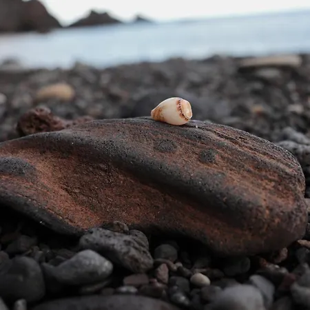 Casa L&m - Refúgio Com Horta Biológica Certificada Apartamento Lajes das Flores