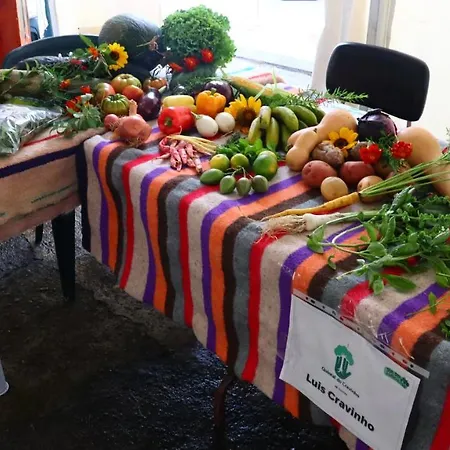 Apartamento Casa L&m - Refúgio Com Horta Biológica Certificada Lajes das Flores