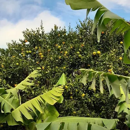 Apartamento Casa L&m - Refúgio Com Horta Biológica Certificada *