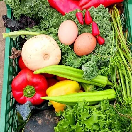 Apartamento Casa L&m - Refúgio Com Horta Biológica Certificada