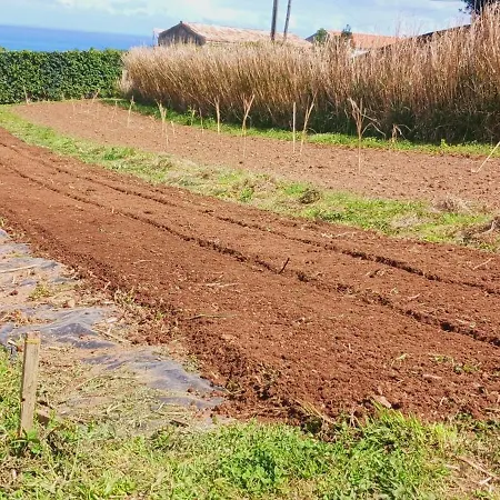 Appartement Casa L&m - Refugio Com Horta Biologica Certificada *