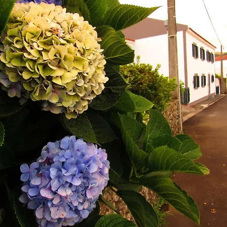 Apartamento Casa L&m - Refúgio Com Horta Biológica Certificada Lajes das Flores