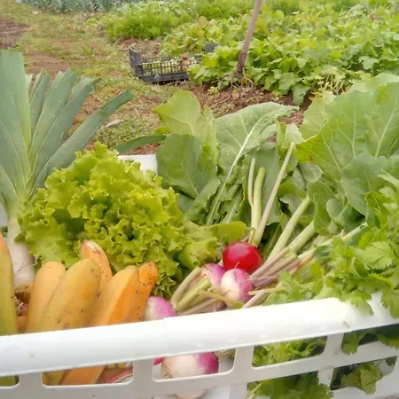 Appartement Casa L&m - Refugio Com Horta Biologica Certificada *