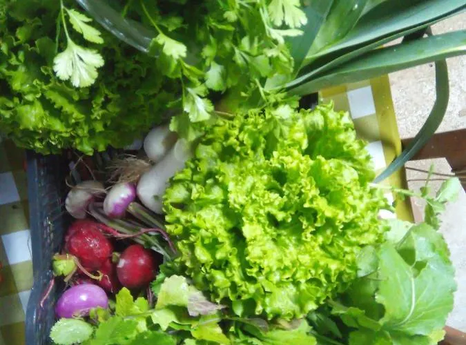 Appartement Casa L&m - Refugio Com Horta Biologica Certificada Lajes das Flores