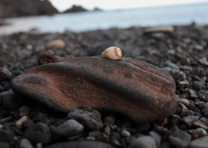 Casa L&m - Refugio Com Horta Biologica Certificada Lejlighed Lajes das Flores