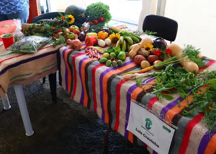 Lejlighed Casa L&m - Refugio Com Horta Biologica Certificada Lajes das Flores