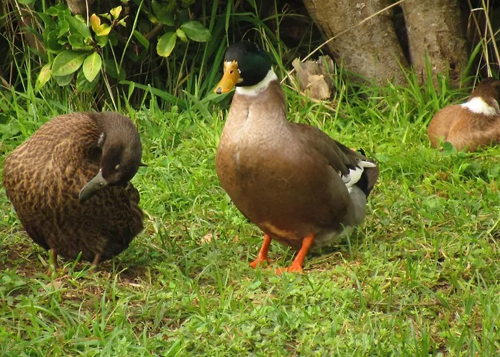 Casa L&m - Refugio Com Horta Biologica Certificada Lajes das Flores