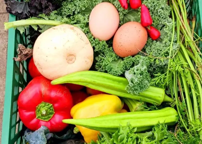 Appartement Casa L&m - Refugio Com Horta Biologica Certificada