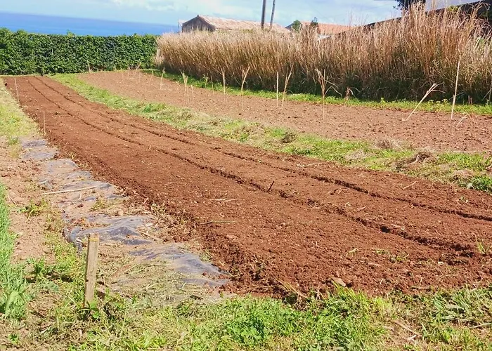 شقة Casa L&m - Refugio Com Horta Biologica Certificada *