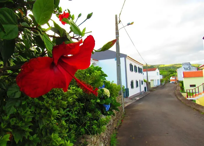 Casa L&m - Refugio Com Horta Biologica Certificada * Lajes das Flores