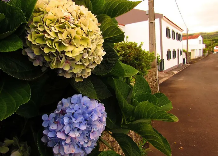 Appartement Casa L&m - Refugio Com Horta Biologica Certificada Lajes das Flores