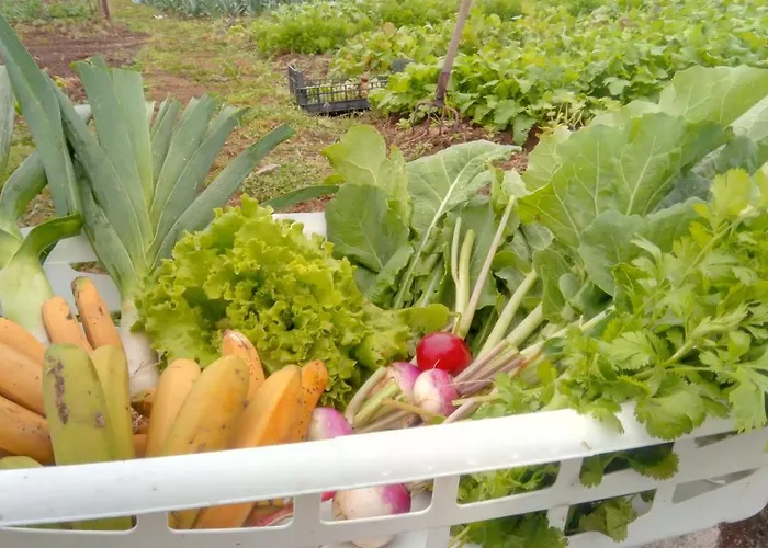 شقة Casa L&m - Refugio Com Horta Biologica Certificada *